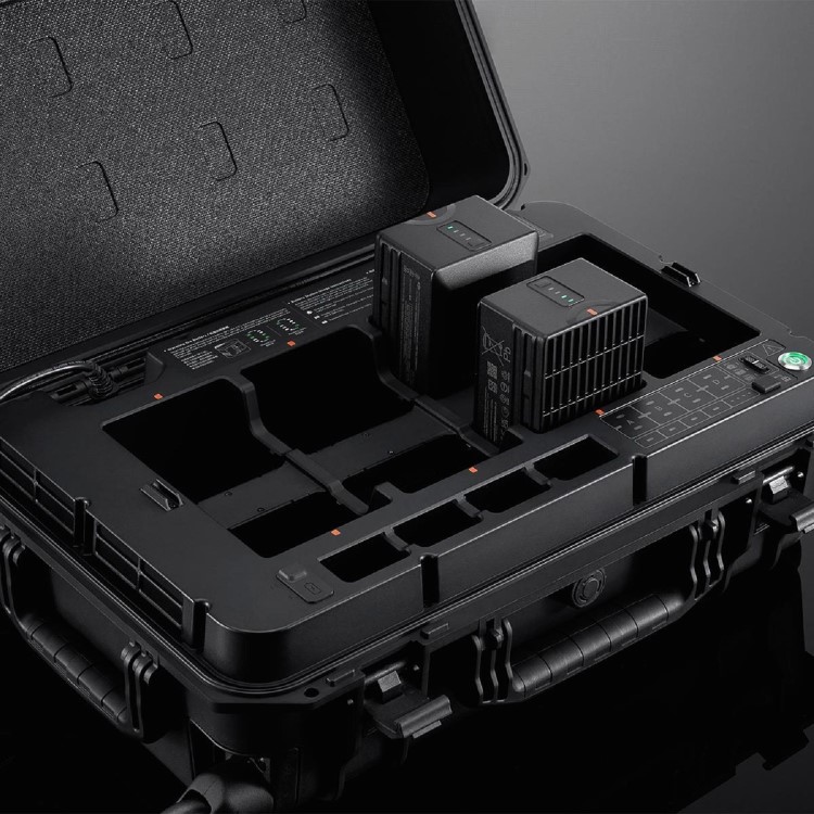 BS65 Intelligent Battery Station